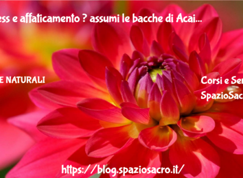 Stress E Affaticamento ? Assumi Le Bacche Di Acai