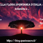 Studio Della Flora Spontanea D'italia Lista Schede Botaniche E Progetto Open Source