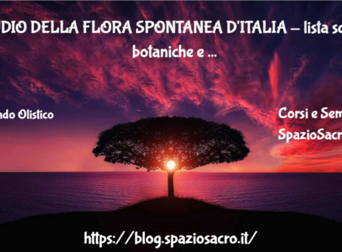 STUDIO DELLA FLORA SPONTANEA D'ITALIA - lista schede botaniche e progetto open source 13 Studio Della Flora Spontanea D'italia Lista Schede Botaniche E Progetto Open Source
