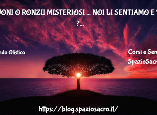 Suoni O Ronzii Misteriosi ... Noi Li Sentiamo E Voi ?