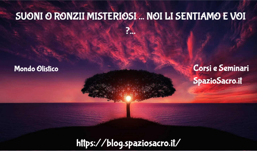 Suoni O Ronzii Misteriosi ... Noi Li Sentiamo E Voi ?