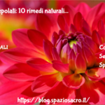 Talloni Screpolati: 10 Rimedi Naturali
