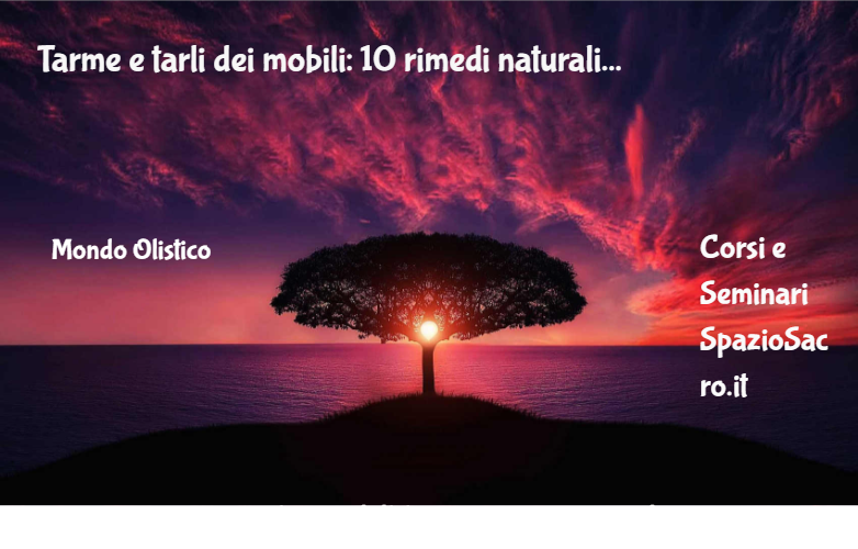 Tarme E Tarli Dei Mobili: 10 Rimedi Naturali