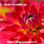 Tea Tree Oil - Undici incredibili usi 3 Tea Tree Oil Undici Incredibili Usi