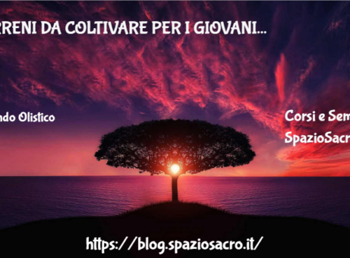 Terreni da coltivare per i giovani 9 Terreni Da Coltivare Per I Giovani