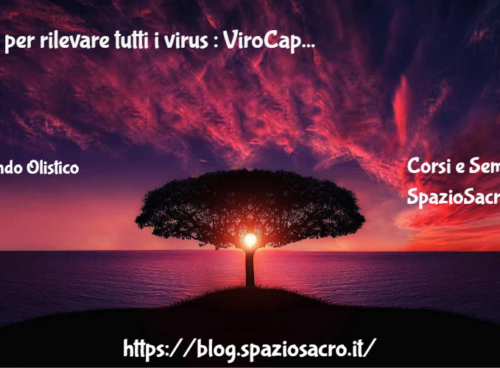 Test per rilevare tutti i virus : ViroCap 50 Test Per Rilevare Tutti I Virus : Virocap
