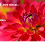 Tiroide : Cure Naturali