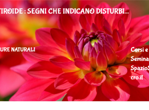 Tiroide : segni che indicano disturbi 13 Tiroide : Segni Che Indicano Disturbi
