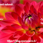Tosse Rimedi Naturali