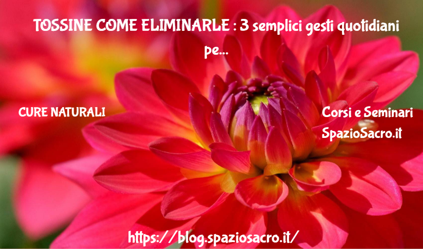 Tossine Come Eliminarle : 3 Semplici Gesti Quotidiani Per Eliminare Le Tossine