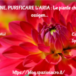 TOSSINE, PURIFICARE L'ARIA : Le piante che danno ossigeno alla nostra casa 3 Tossine, Purificare L'aria : Le Piante Che Danno Ossigeno Alla Nostra Casa