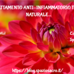 Trattamento Anti Infiammatorio Tutto Naturale