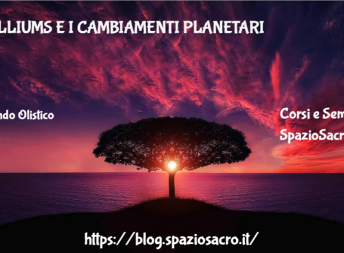 Trilliums e i cambiamenti planetari 87 Trilliums E I Cambiamenti Planetari