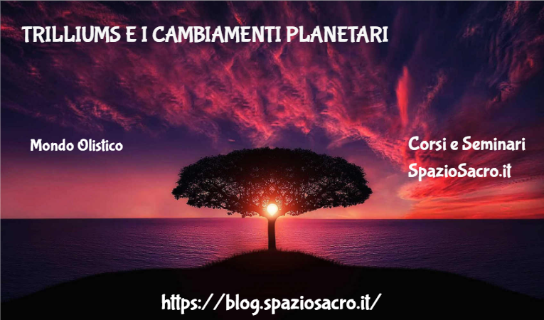 Trilliums E I Cambiamenti Planetari