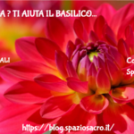 Tristezza ? Ti Aiuta Il Basilico