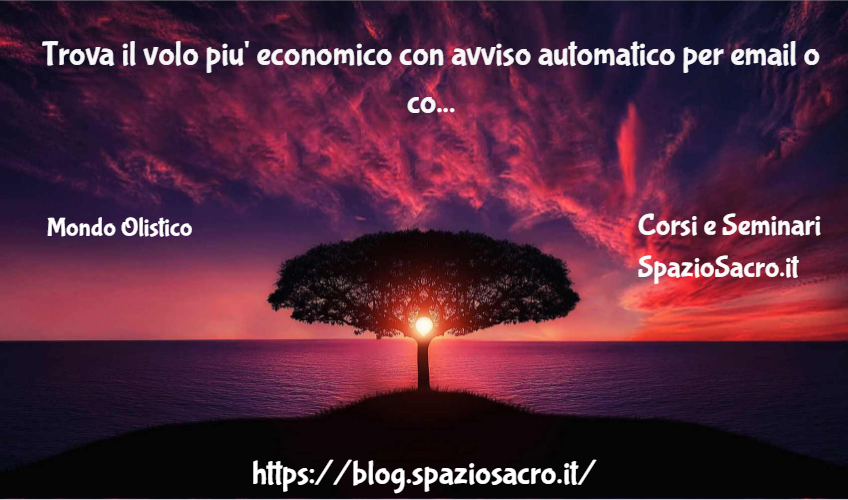 Trova Il Volo Piu' Economico Con Avviso Automatico Per Email O Controlla In Tempo Reale Gli Orari Dei Voli Tools Da Pennytravel.it