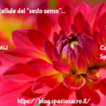 Trovate Le Cellule Del “sesto Senso”