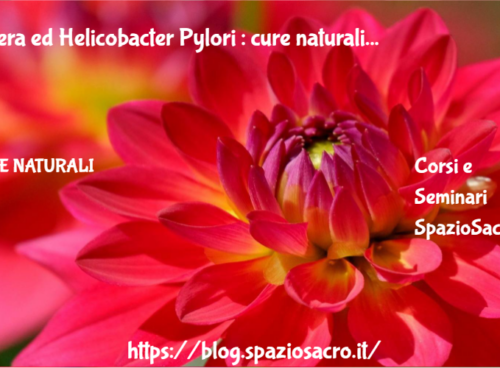 Ulcera Ed Helicobacter Pylori : Cure Naturali