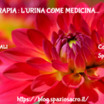 Urinoterapia : L'urina Come Medicina