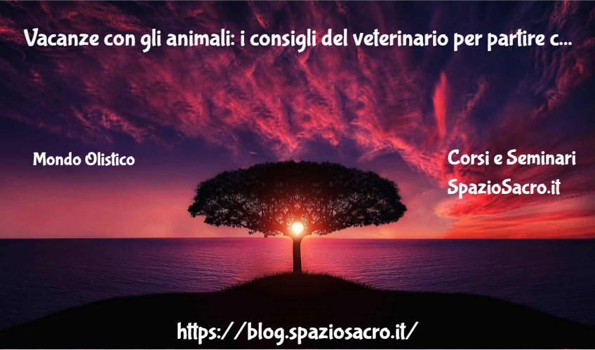 Vacanze Con Gli Animali: I Consigli Del Veterinario Per Partire Con Cani E Gatti
