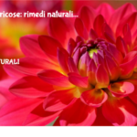 Vene Varicose: Rimedi Naturali