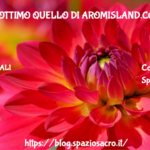 Vetiver Ottimo Quello Di Aromisland.com