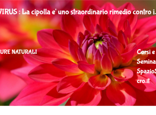 Virus : La Cipolla E' Uno Straordinario Rimedio Contro I Virus