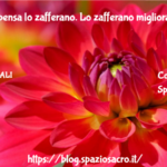 Vista : Ci Pensa Lo Zafferano. Lo Zafferano Migliora La Vista E Protegge La Retina Dalla Degenerazione Maculare