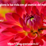 VISTA : Migliora la tua vista con gli esercizi del metodo Bates 3 Vista : Migliora La Tua Vista Con Gli Esercizi Del Metodo Bates