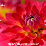 Vitamina a 2 Vitamina A