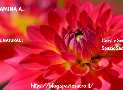 Vitamina a 65 Vitamina A