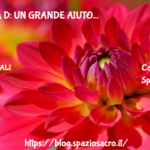 Vitamina d: un grande aiuto 3 Vitamina D: Un Grande Aiuto