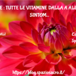 Vitamine : tutte le vitamine dalla a alla z con i sintomi di carenza 2 Vitamine : Tutte Le Vitamine Dalla A Alla Z Con I Sintomi Di Carenza