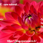 VITILIGINE : cure naturali 2 Vitiligine : Cure Naturali