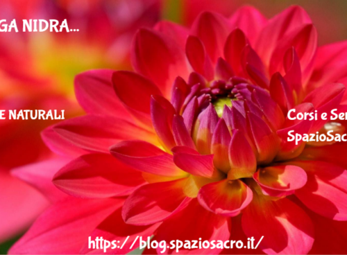 Yoga nidra 51 Yoga Nidra