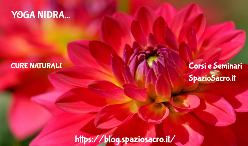 Yoga Nidra