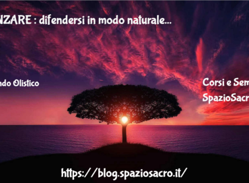 ZANZARE : difendersi in modo naturale 5 Zanzare : Difendersi In Modo Naturale