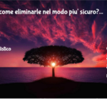 Zecche: come eliminarle nel modo piu' sicuro? 3 Zecche: Come Eliminarle Nel Modo Piu' Sicuro?
