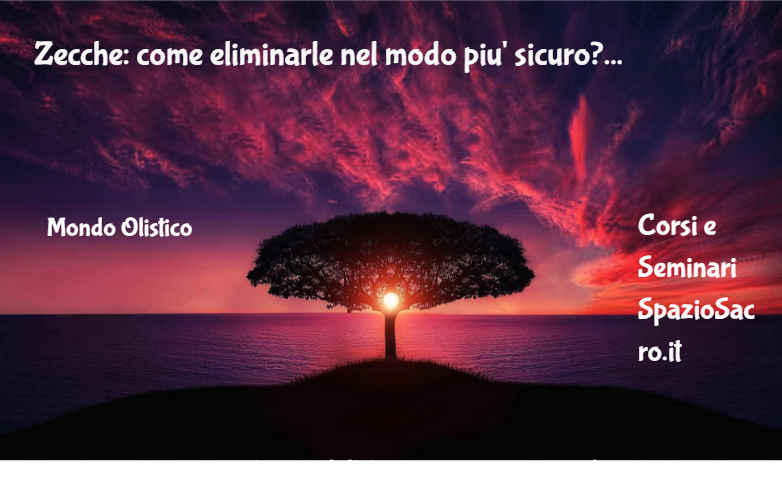 Zecche: Come Eliminarle Nel Modo Piu' Sicuro?