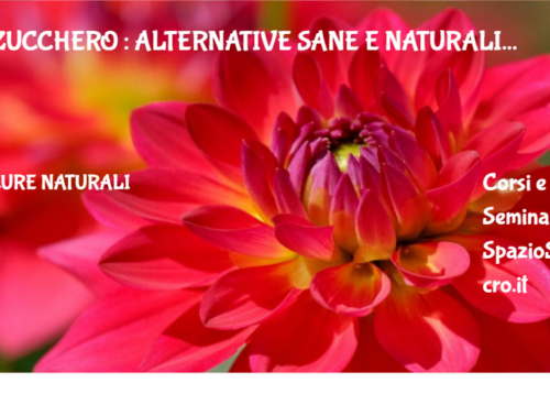 Zucchero : alternative sane e naturali 87 Zucchero : Alternative Sane E Naturali