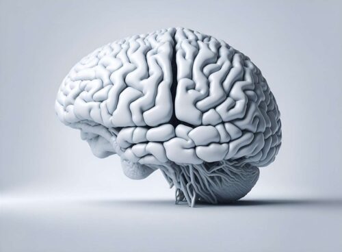 Integratori per la memoria 99 blank