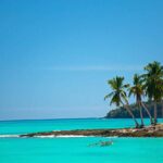 Crea un profumo speziato naturale utilizzando oli essenziali del Madagascar 2 profumi del madagascar