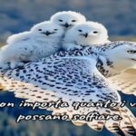 forza dell'amore e della natura