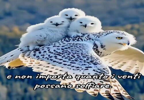 forza dell'amore e della natura