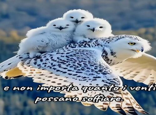 forza dell'amore e della natura