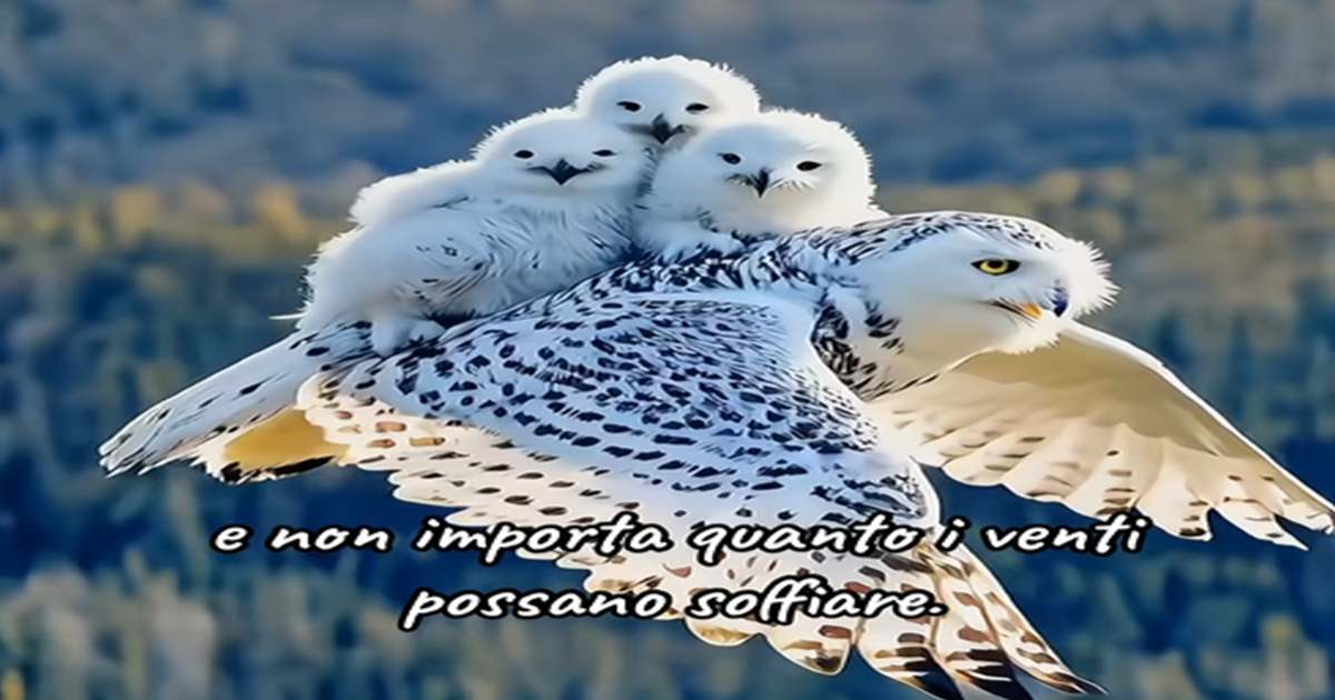 forza dell'amore e della natura