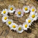 Il numero del Cuore nella Numerologia Tantrica 3 numeri del cuore