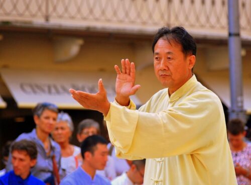 Il Taijiquan è come una porta di giada... 67 blank