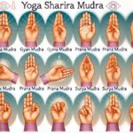sharira mudra