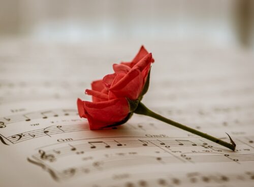 Musica e Cimatica: un viaggio tra il tangibile e l'intangibile per grandi e piccini 62 musica